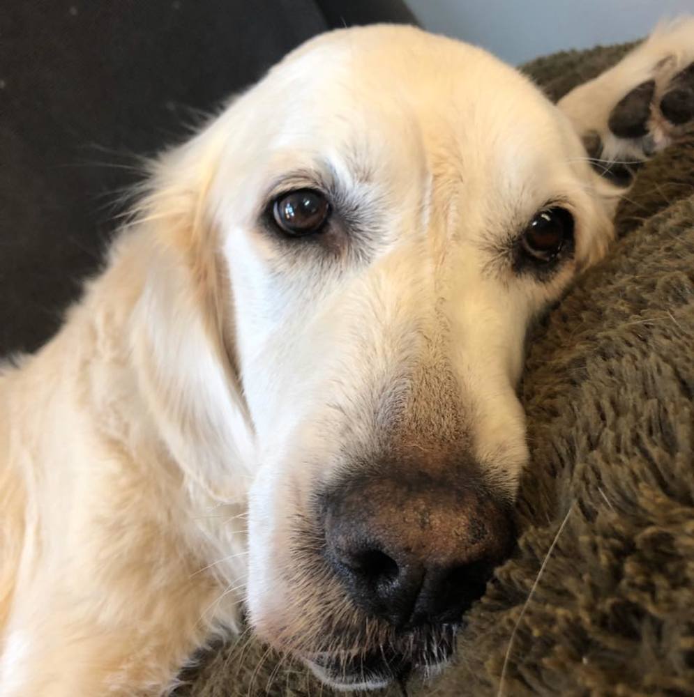 Meet your Posher, Aimee